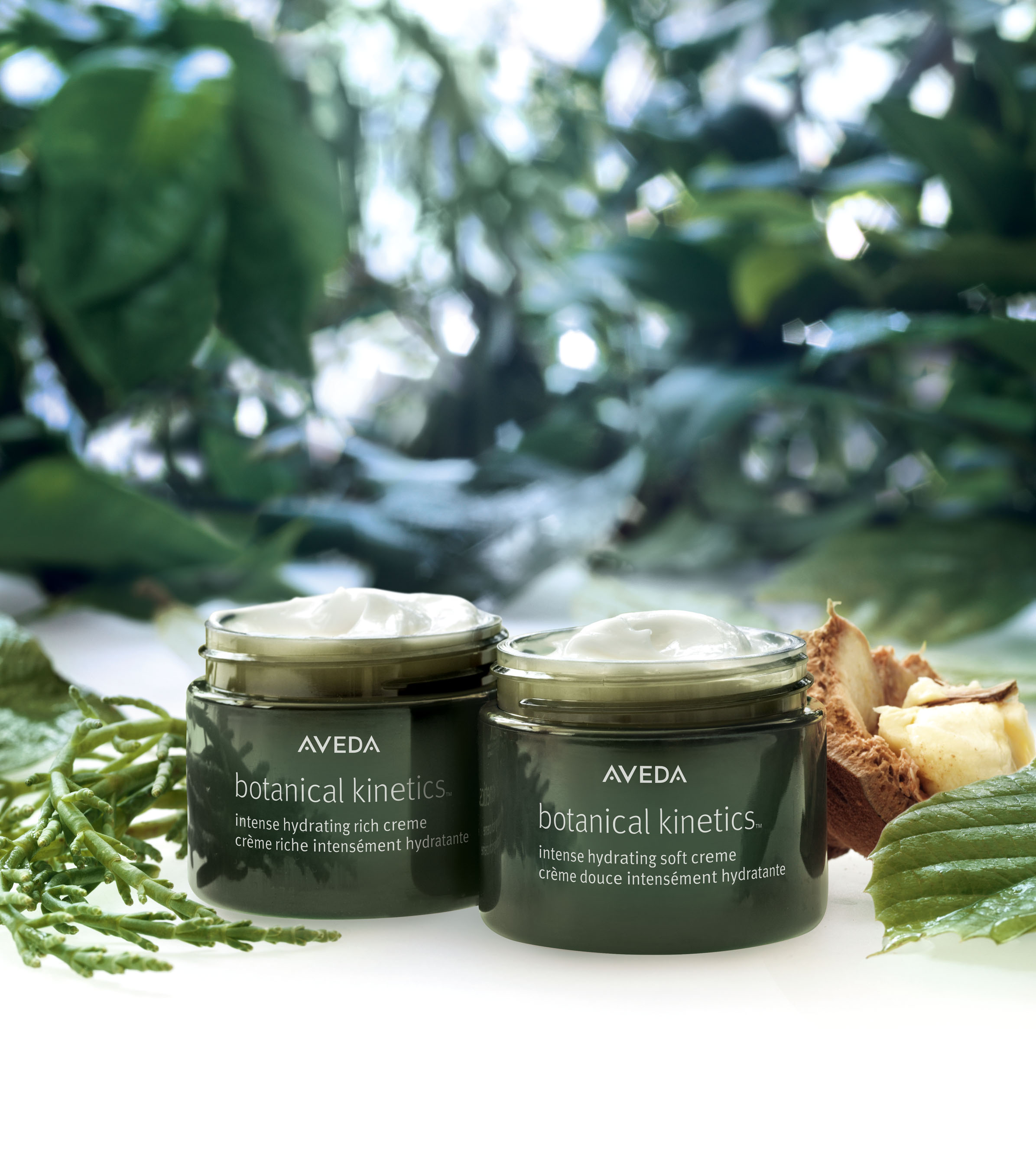 Aveda Skin Care Line / Introducing Aveda S Botanical Kinetics Intense Hydrating Soft And Rich 